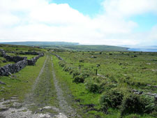 Ireland-Burren-Hiking - Burren Way